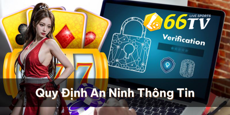 Thông tin mà 66TV thu thập