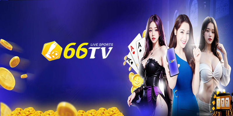 Giới thiệu 66TV | Nhà Cái Uy Tín Những Tay Chơi Sành Điệu!